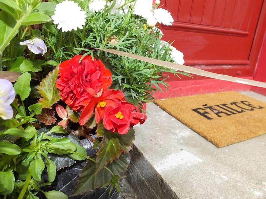 The Cosy Farm Cottage, Donegal Inver Exterior photo
